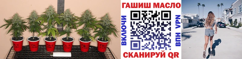 Дистиллят ТГК THC oil  Новошахтинск 