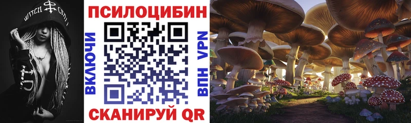 Псилоцибиновые грибы ЛСД  хочу наркоту  Новошахтинск 